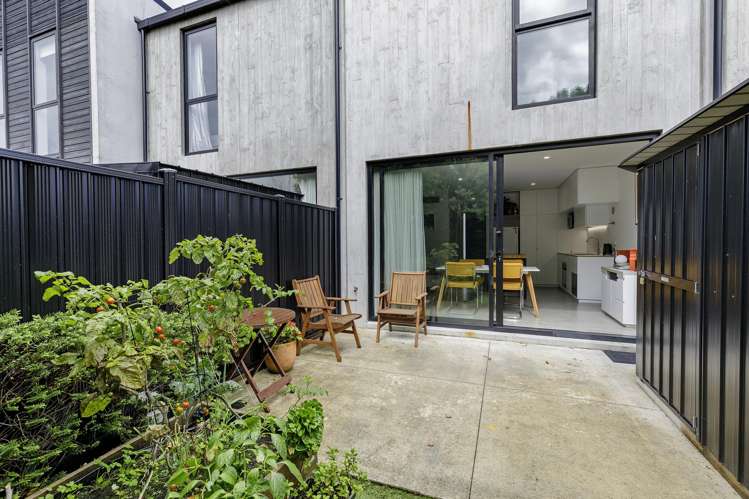 13 Te Ara O Paetutu Petone_15