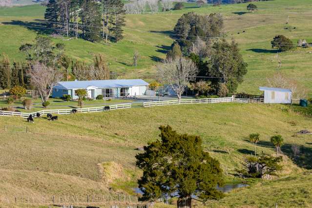 303 Port Albert Road Wellsford_2