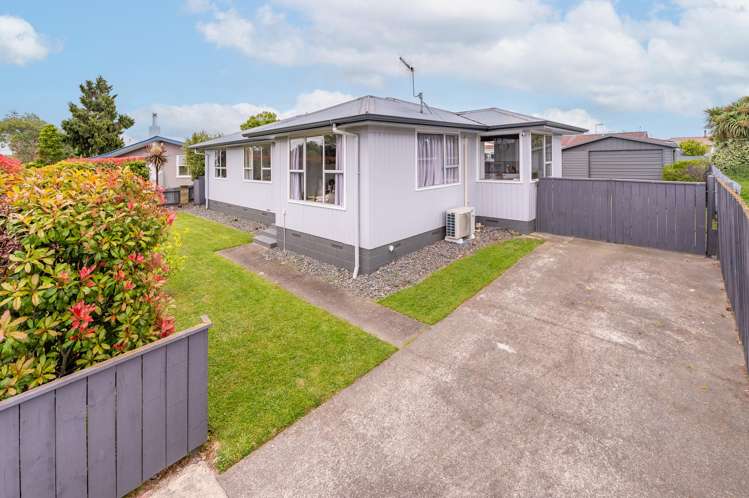 42 Plunket Street Tamatea_1