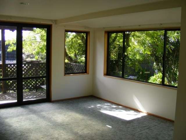 8A Maire Street Tahunanui_3