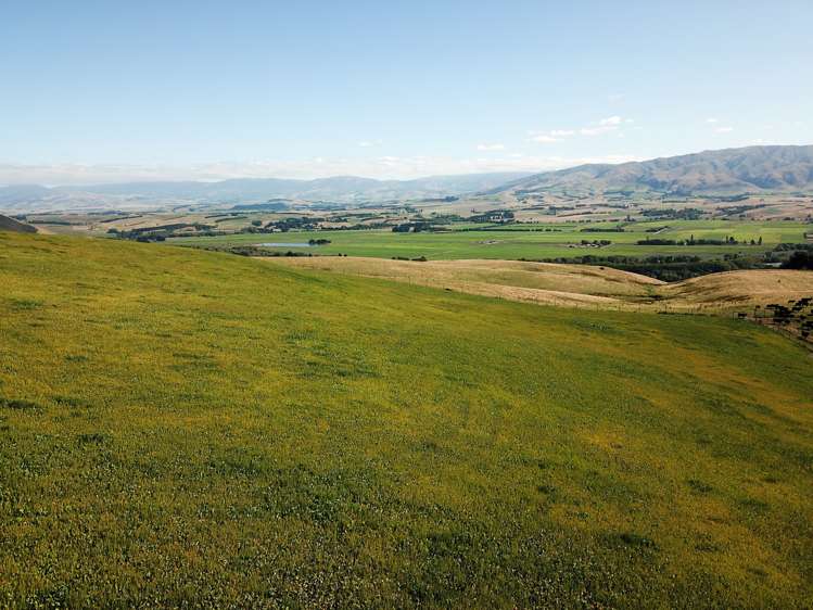 207 Tondros Road Fairlie_15