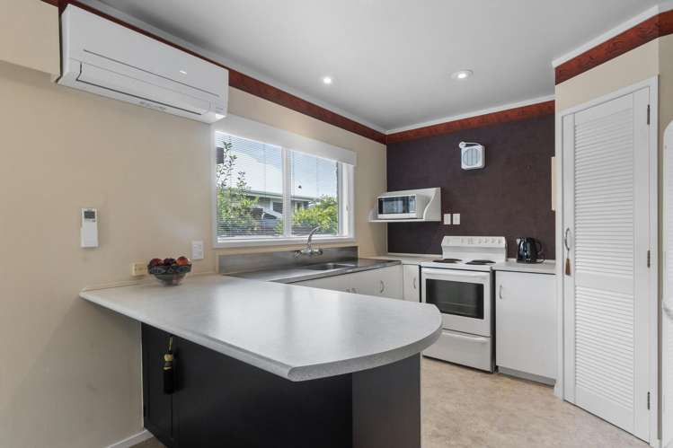 19C Vercoe Road Beerescourt_6