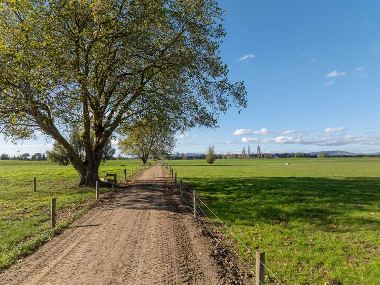 759 Kaipaki Road Ohaupo_8