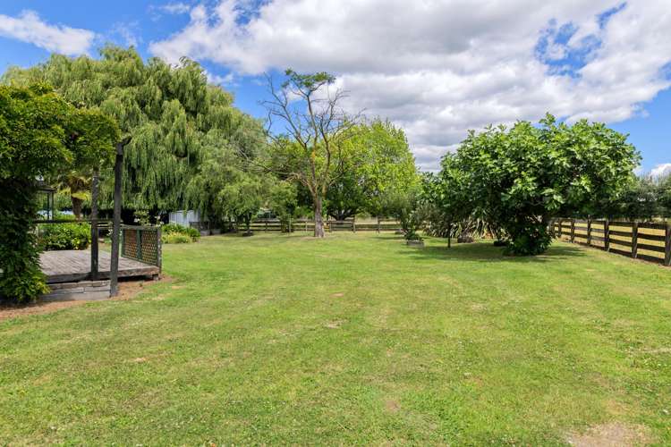 2D Ferry Road Spring Creek_24