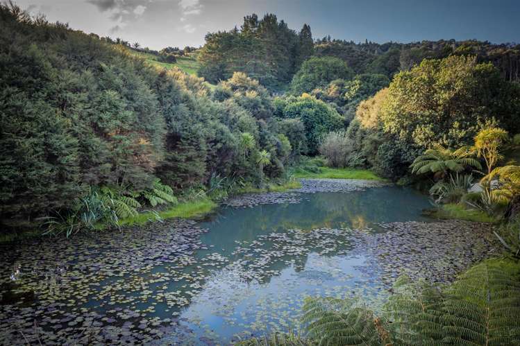 14 Ohuka Place Whitianga_11