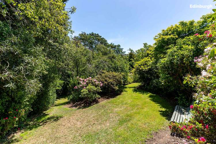 1 Leyden Terrace Andersons Bay_41