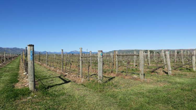 708 Waihopai Valley Road Waihopai Valley_24