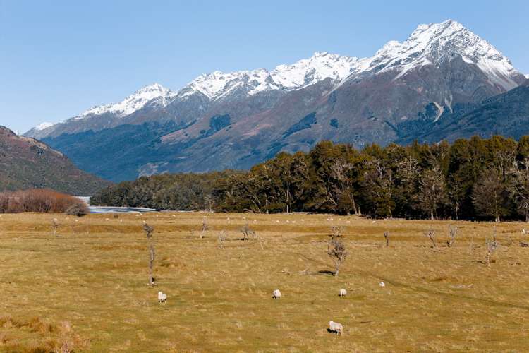 Glenorchy-Paradise Road Glenorchy_11