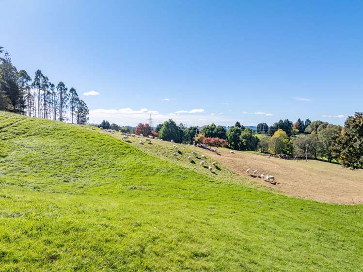 151 Tarukenga Road Ngongotaha Valley_18