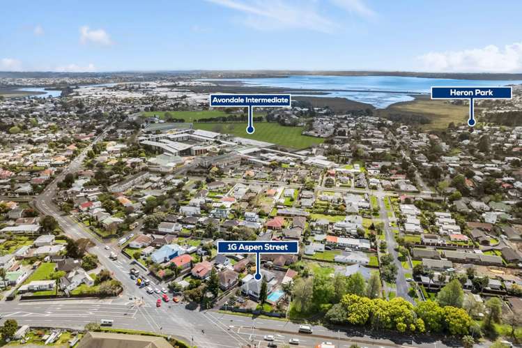 1g Aspen Street Avondale_3