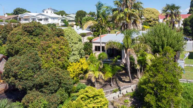 61 Napier Terrace Hospital Hill_18