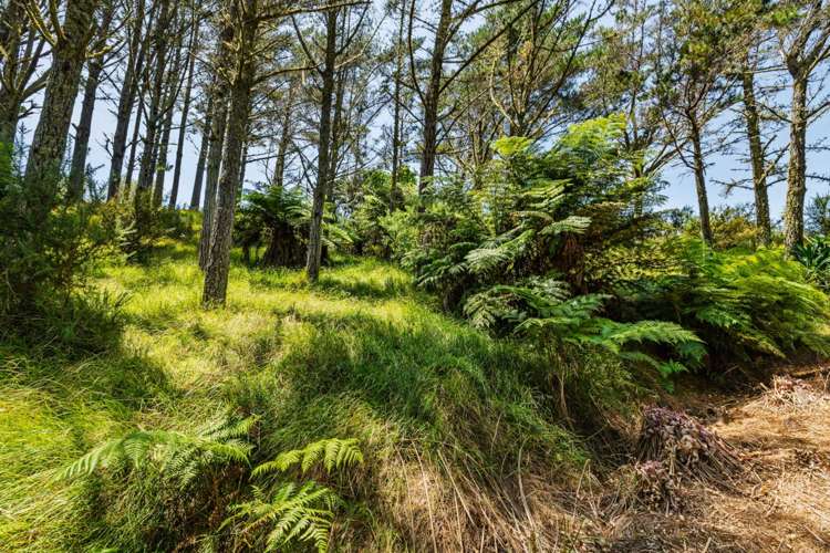 2884A State Highway 10 Mangonui_44