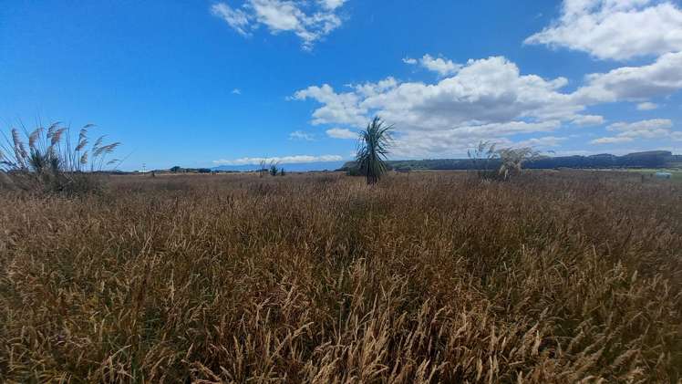 858 Papatotara Road Papatotara_13