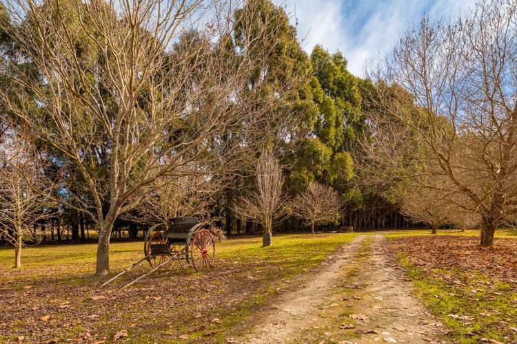4023 Northbank Road Wairau Valley_19