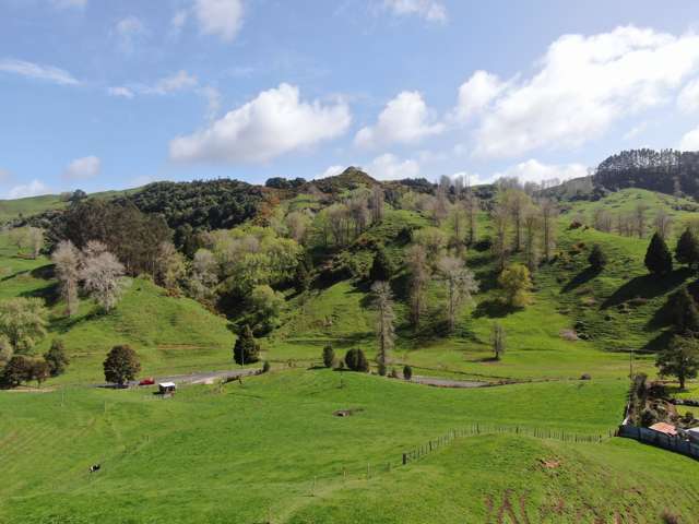 Lot 1/627 Waitomo Valley Road Otorohanga_1