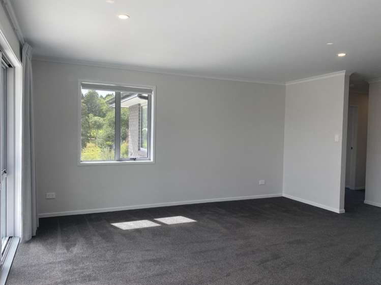 274 Whitehills Road Dairy Flat_12