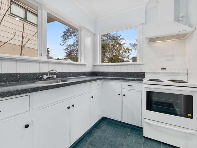3 Conway Street Levin_3