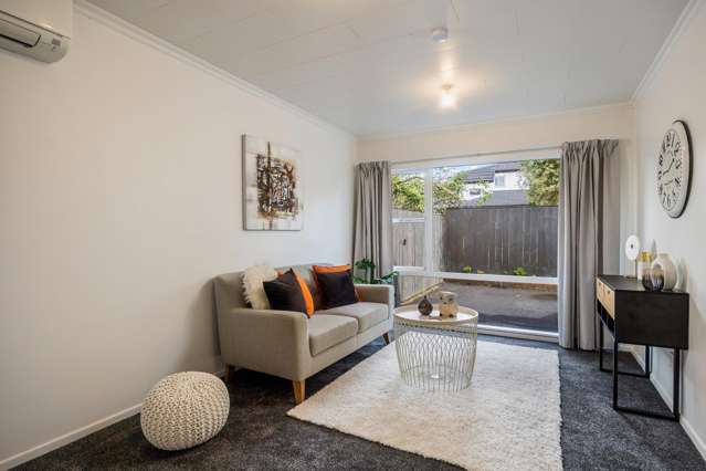 20B Springleigh Ave Mount Albert_4