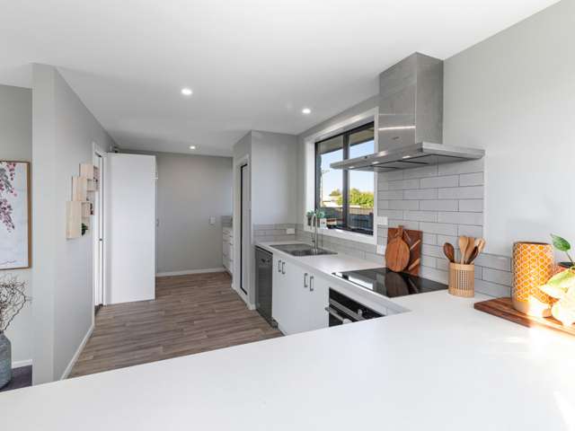 1a Hale Street Blenheim Central_3