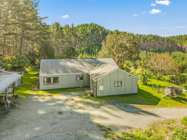 110 Whangape Track Road Broadwood_33
