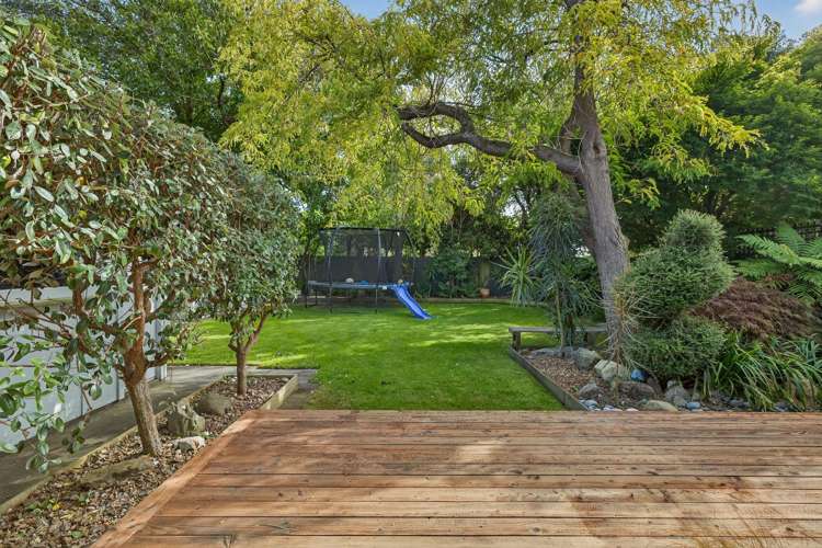 594 Harewood Road Harewood_22