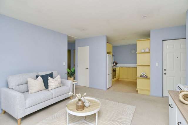 42B Meadowville Avenue Spreydon_4