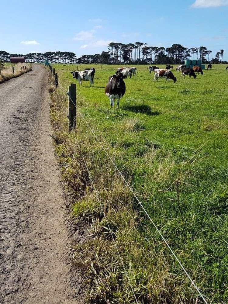 349 Ihaia Road Opunake_20