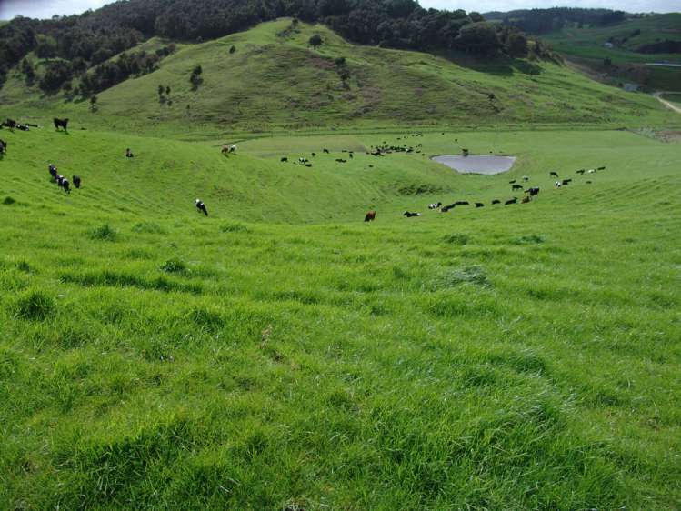 259 Arapohue Road Dargaville Surrounds_18