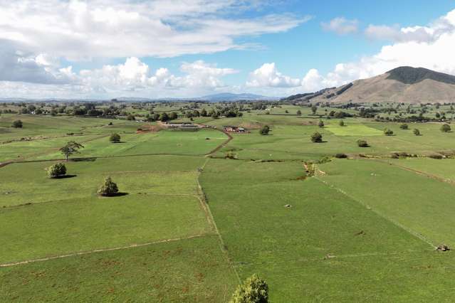 229 Candy Road Te Awamutu_4