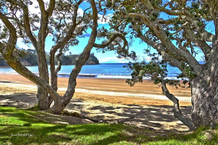 22 Otanerua Road Hatfields Beach_29