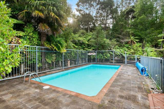 85 Haigh Access Road Redvale_2