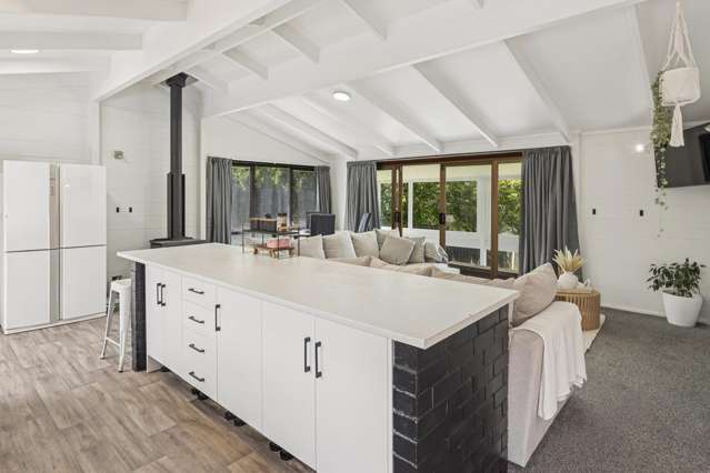 More Space Than You Expect - Bring your Whānau