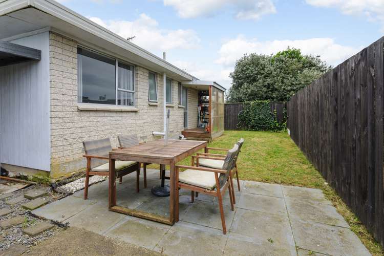 9a Bradley Place Nawton_8