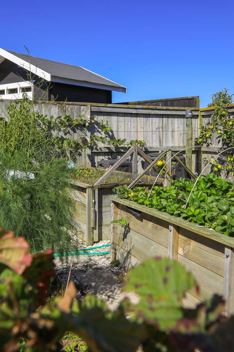 22 Merrimana Drive Thames-coromandel_15