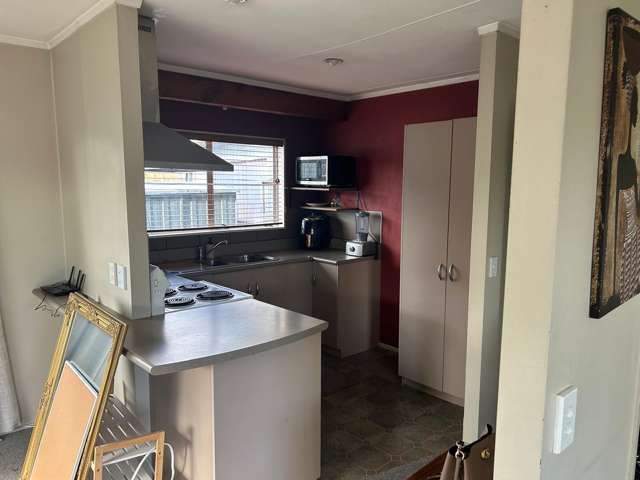 52A Elizabeth Street Tauhara_2