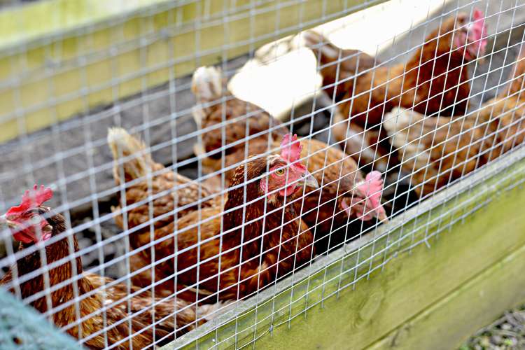 4 San Martin Place Goodwood Heights_17