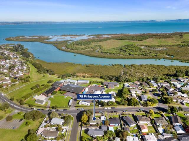 72 Finlayson Avenue Clendon Park_1