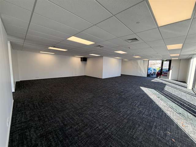 91 Picton Avenue Riccarton_2