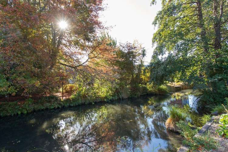 66 Fendalton Road Fendalton_38