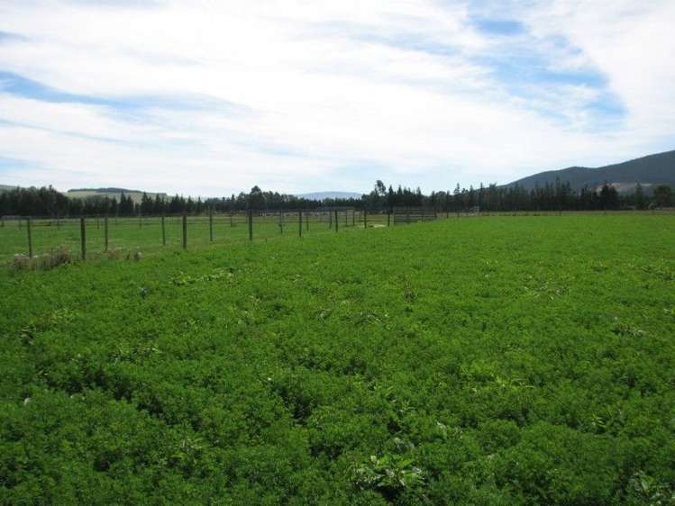 107 West Road Milton_8