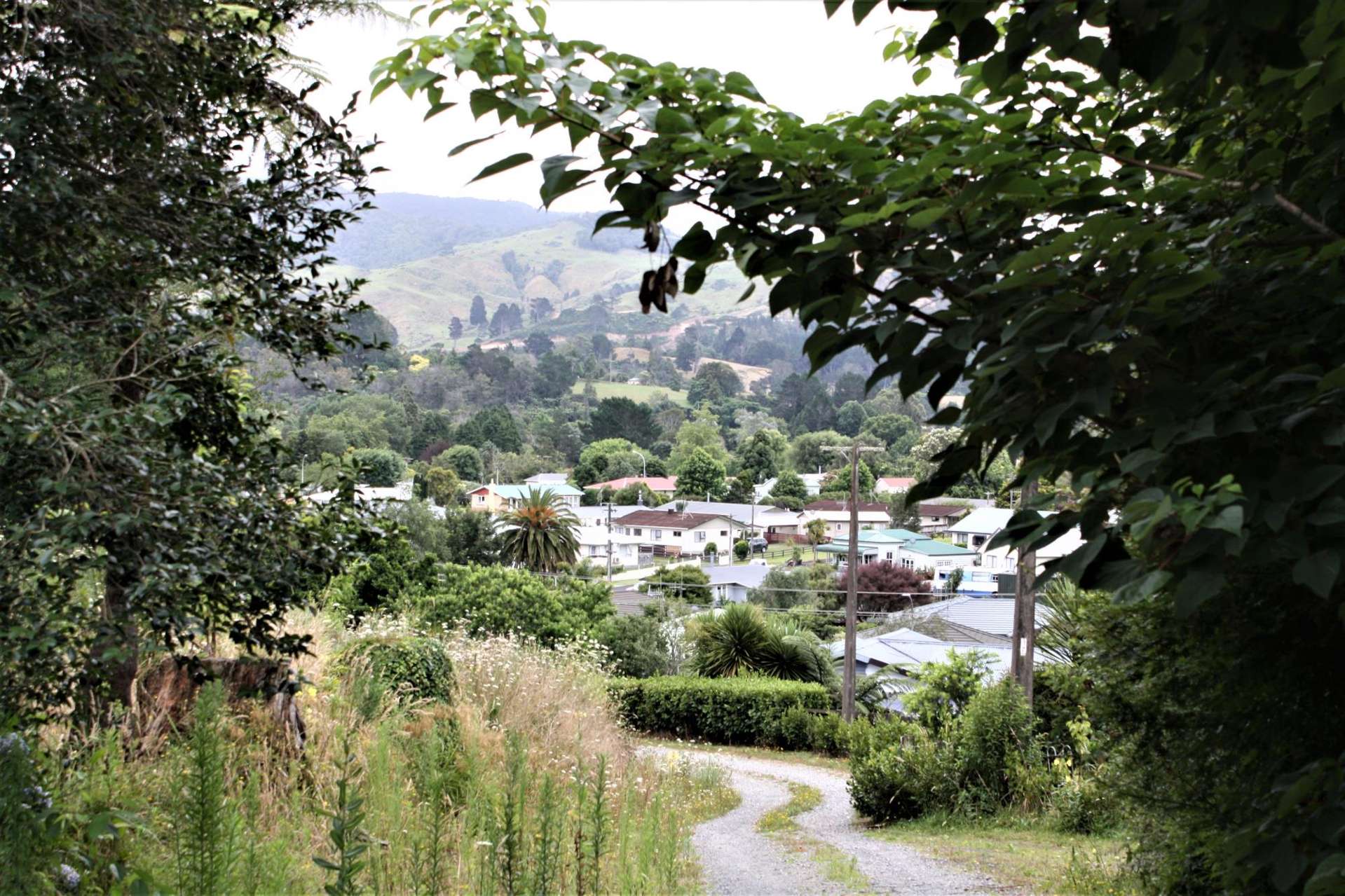 Barry Road Waihi_0