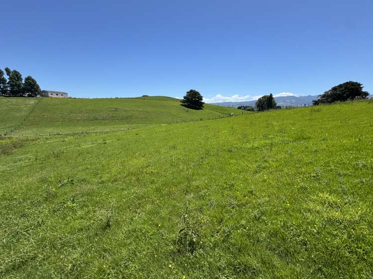 Lot 2 Pokuru Road Rd 3 Te Awamutu_5