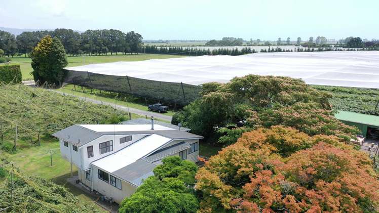439 West Bank Road Edgecumbe_15