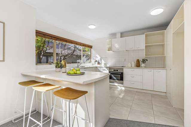 22 Poturi Streams Avenue Titirangi_3