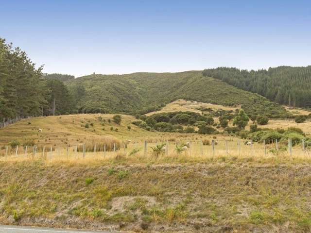 1331a Coast Road Wainuiomata Coast_3