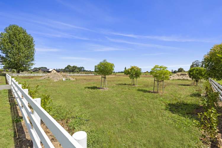 179 Webster Road Matangi_9