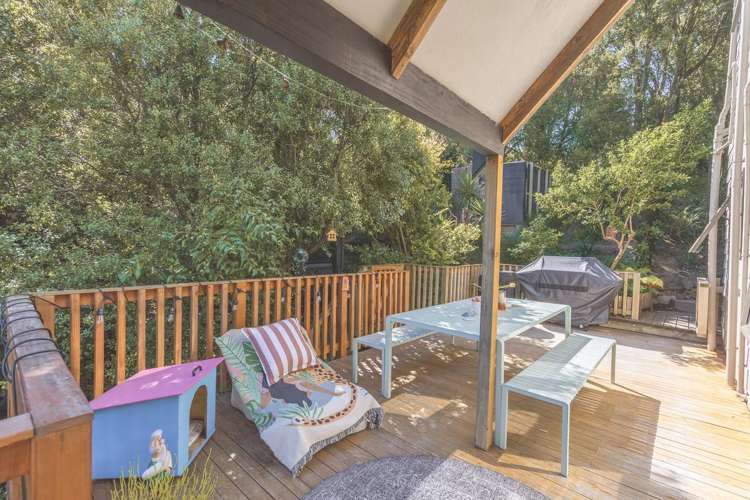 1/8 Hobday Lane Mount Pleasant_18