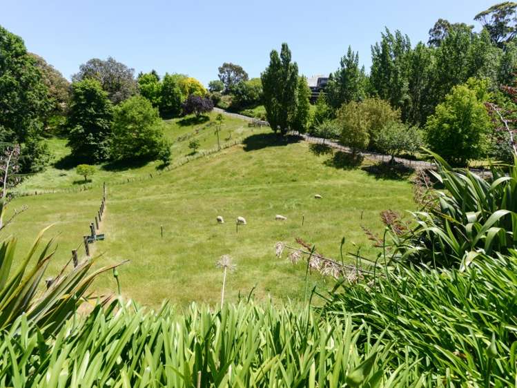 146 Poraiti Road Poraiti_3