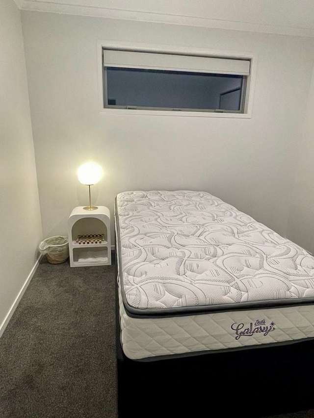 63 Monaro Place Papamoa_4