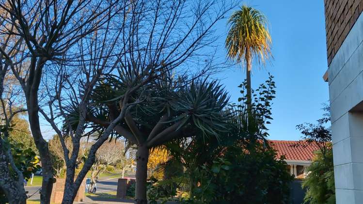 15 Loloma Drive Half Moon Bay_6